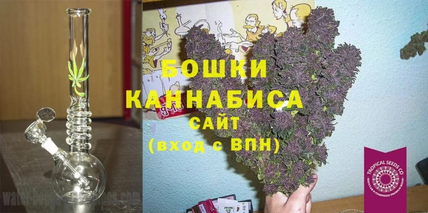 гашик Алексеевка