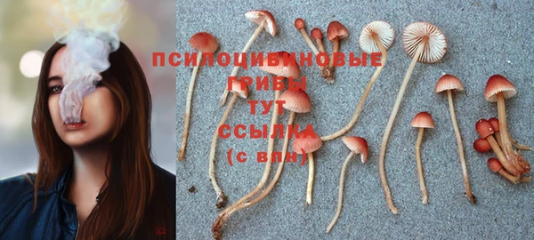 прущие грибы Алексин