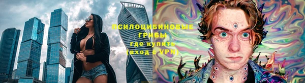 прущие грибы Алексин